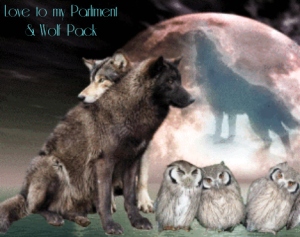love-to-my-parliment-wolf-pack