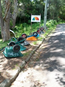 No cars on the island, so locals transport goods with these. Photo (c) Megan S, December 2013