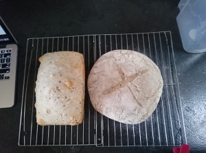 The finished products (should've cooked hotter to get a darker crust, more rise in the round loaf, and cooked right through)