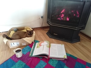 Set up for reading by the fire, with a nice cup of tea and Pepper (cat) for company.
